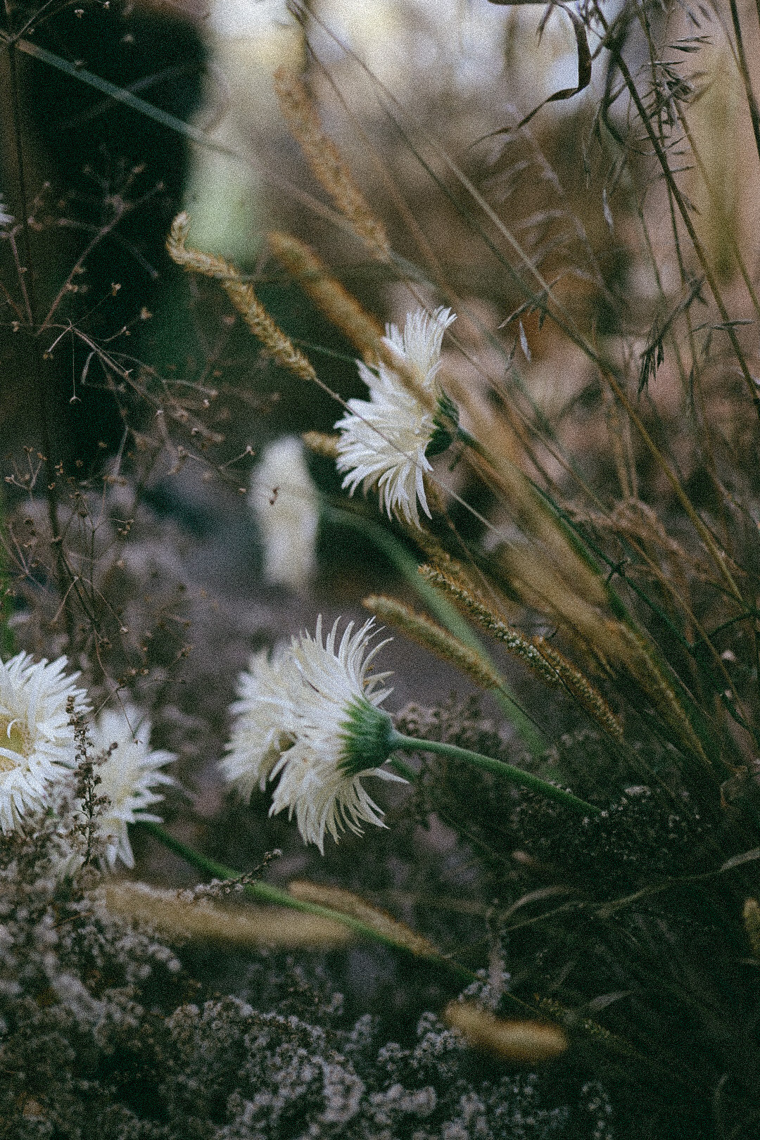 Воркшоп. Фотограф Нижний Новгород