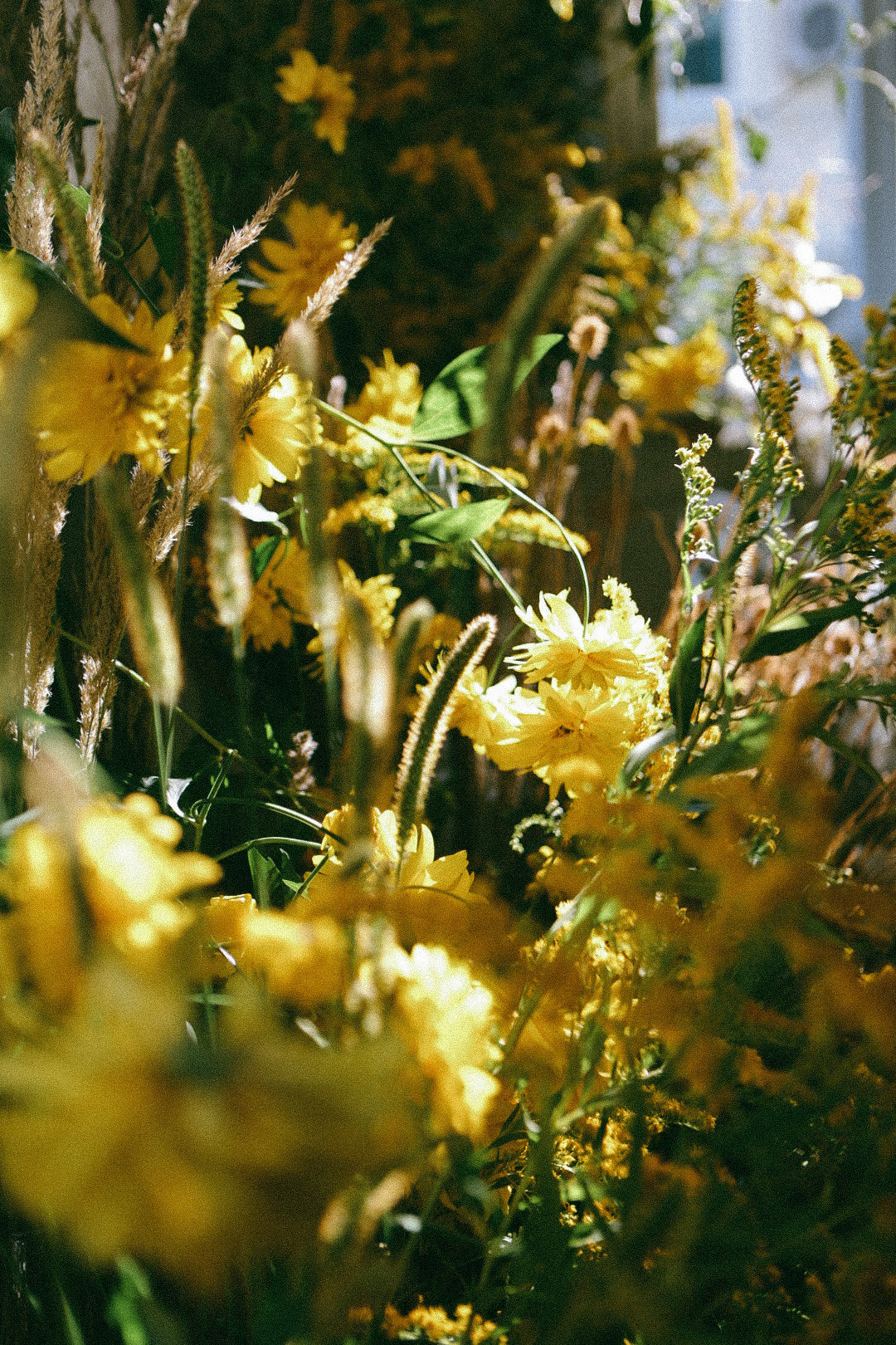 По ту сторону лета. Фотограф Нижний Новгород