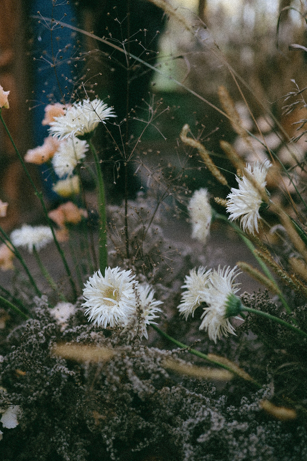 Воркшоп. Фотограф Нижний Новгород