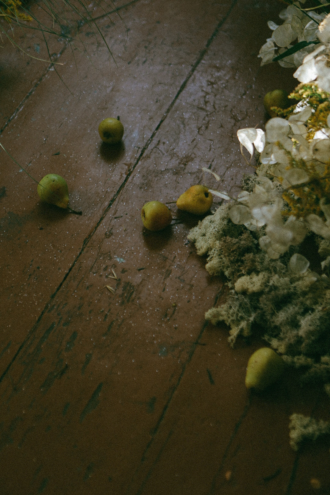 По ту сторону лета. Фотограф Нижний Новгород