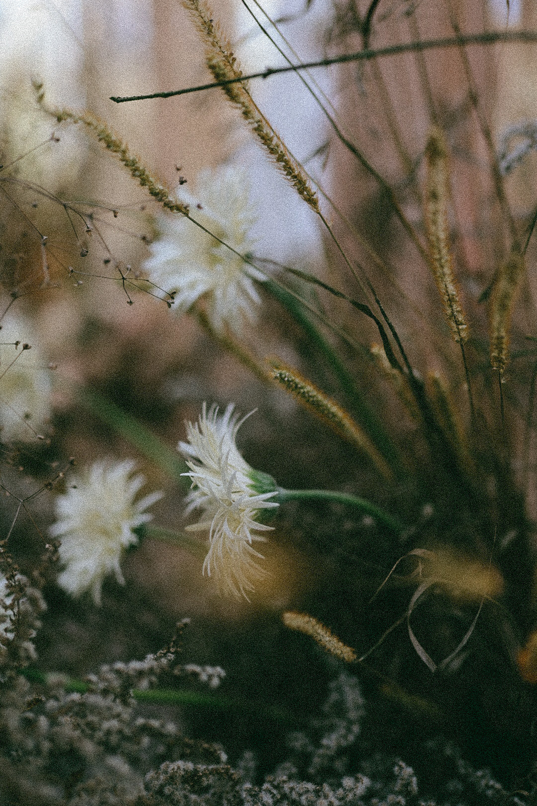 Воркшоп. Фотограф Нижний Новгород