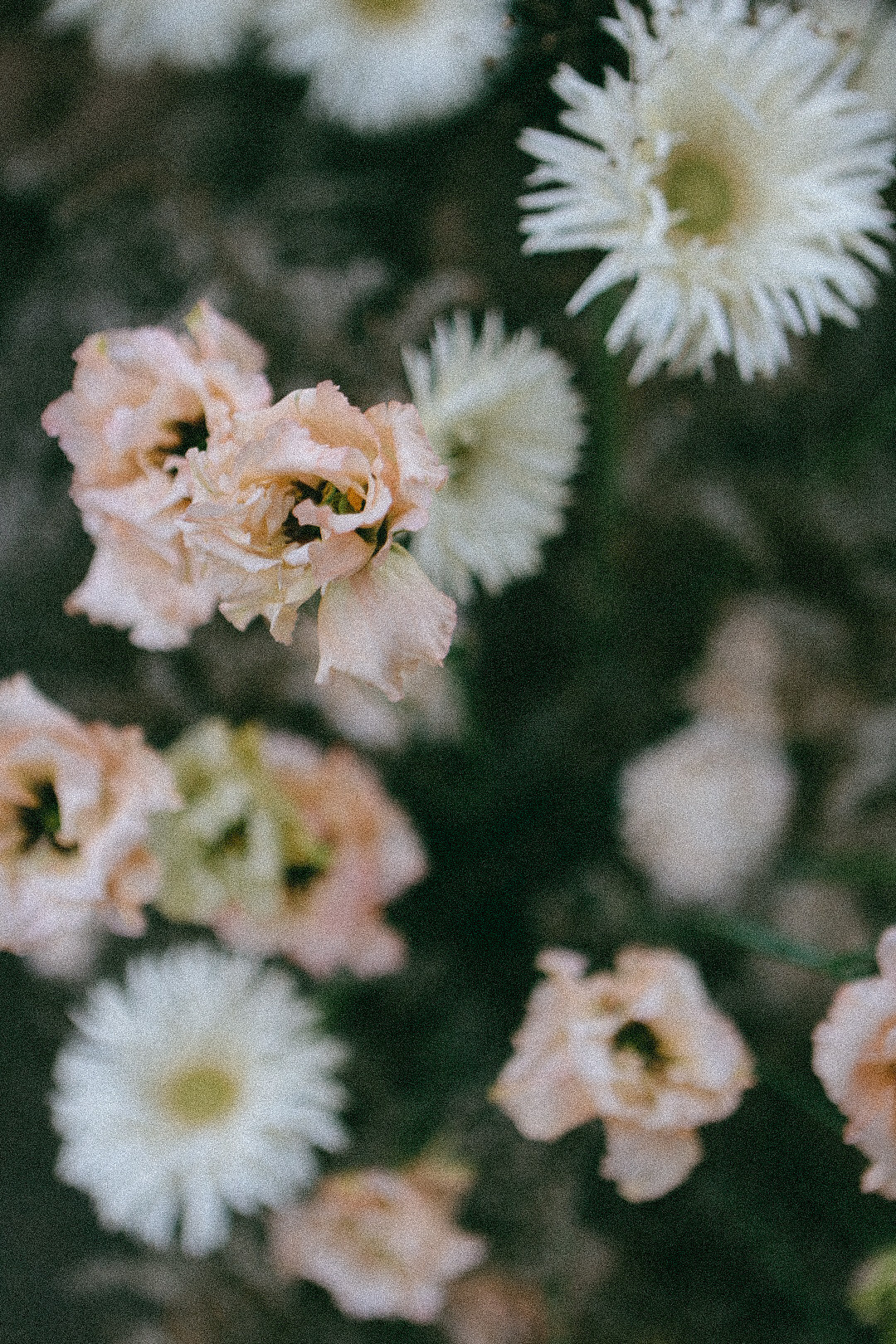 Воркшоп. Фотограф Нижний Новгород