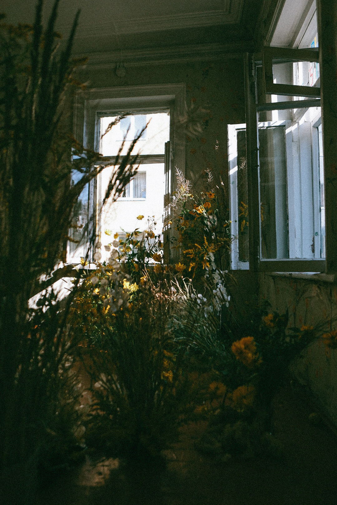 По ту сторону лета. Фотограф Нижний Новгород