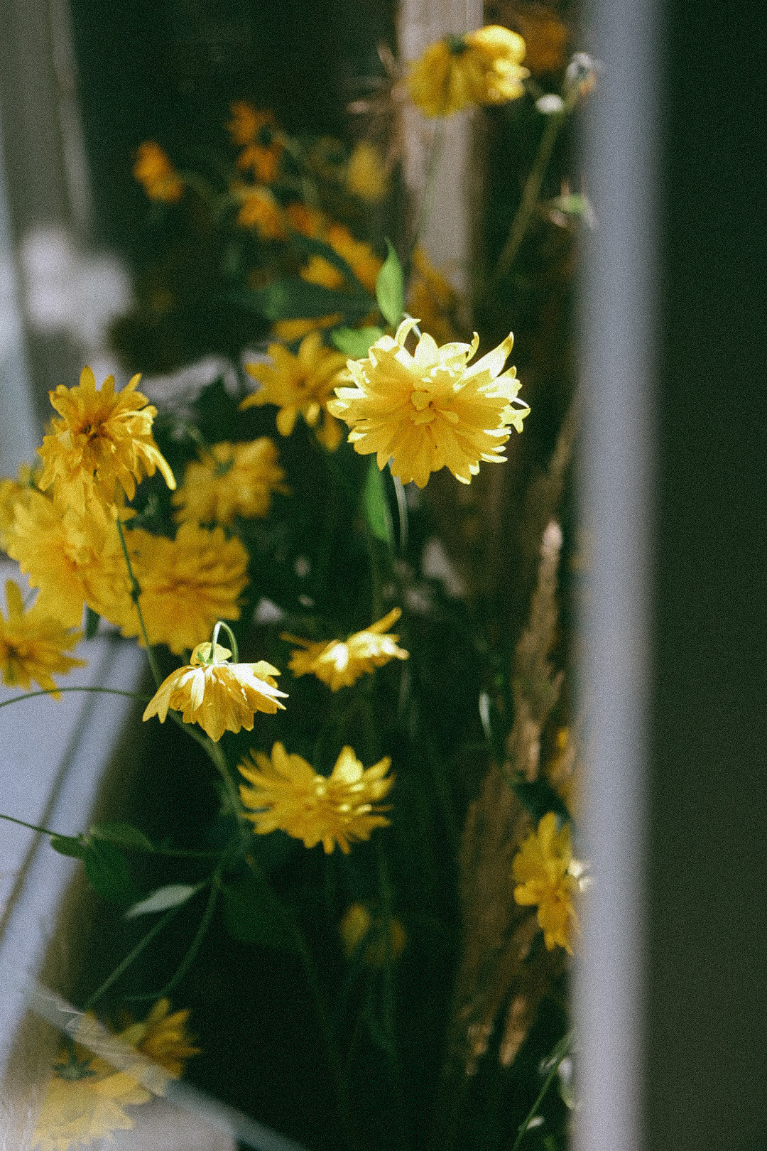 По ту сторону лета. Фотограф Нижний Новгород