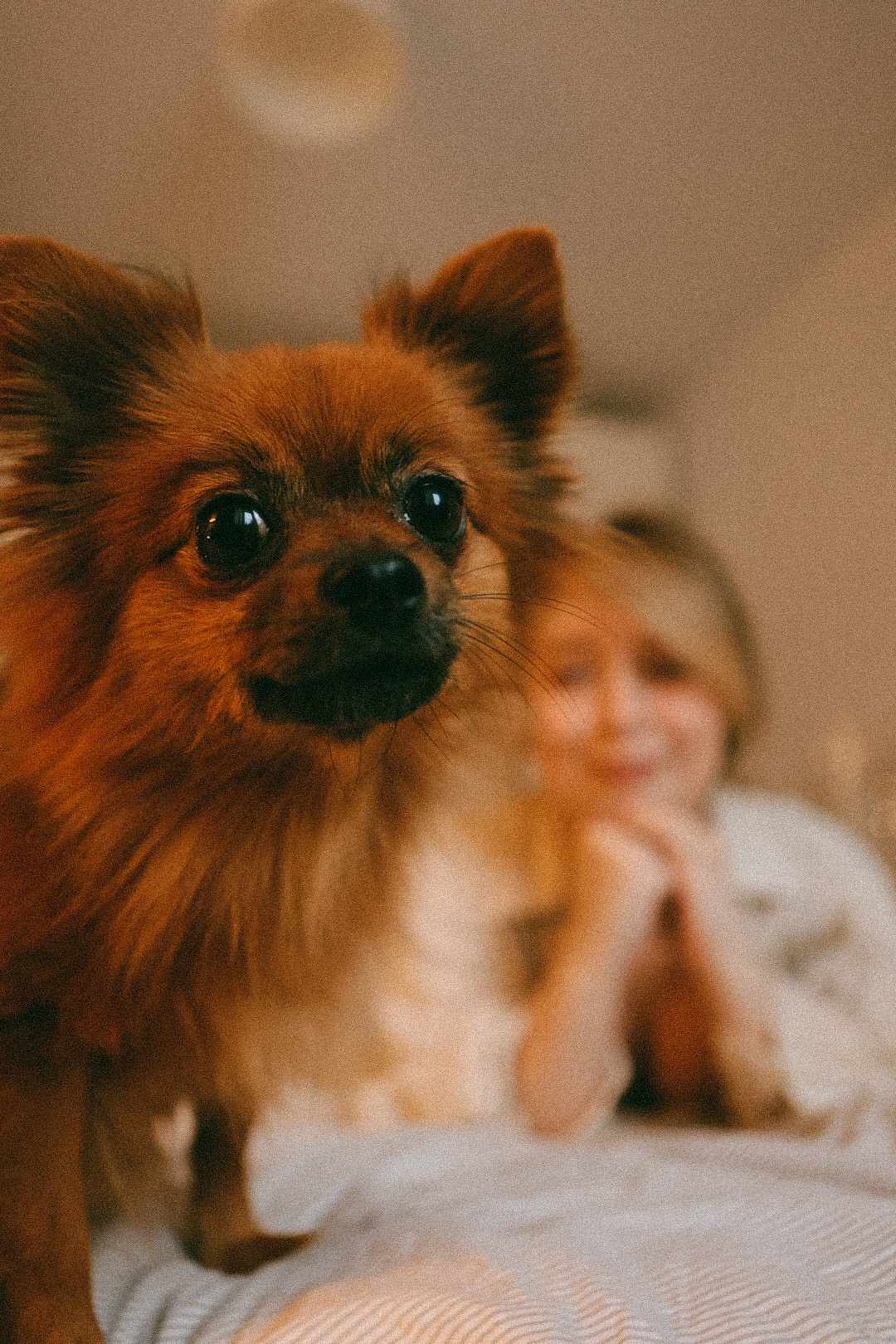 Вика. Фотограф Нижний Новгород