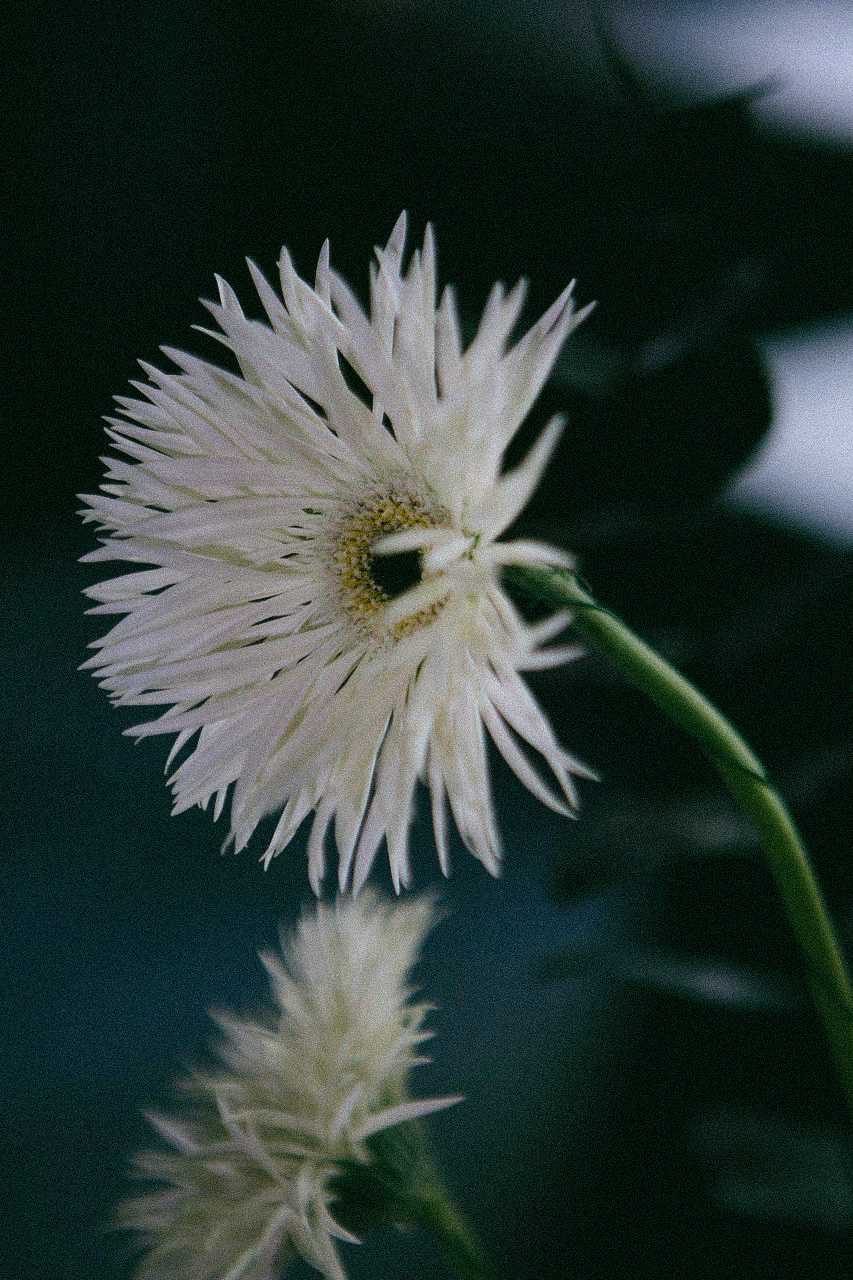 Дима и Арина. Фотограф Нижний Новгород