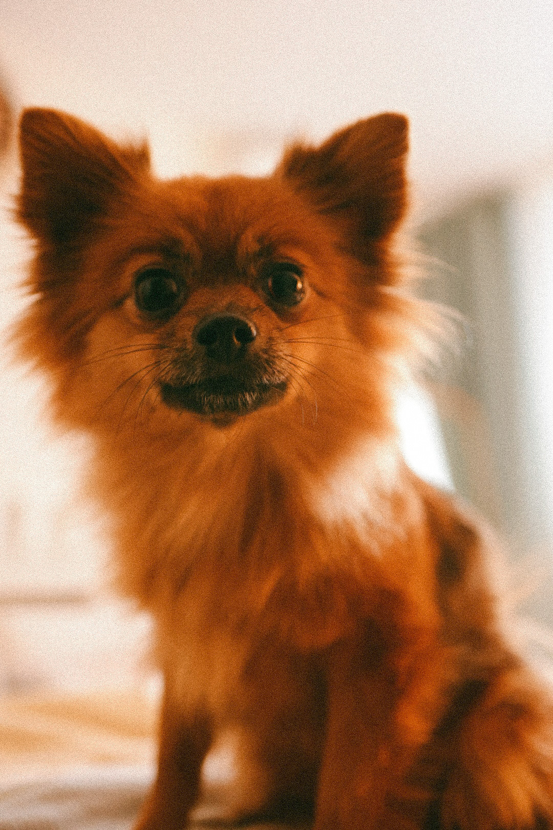 Вика. Фотограф Нижний Новгород