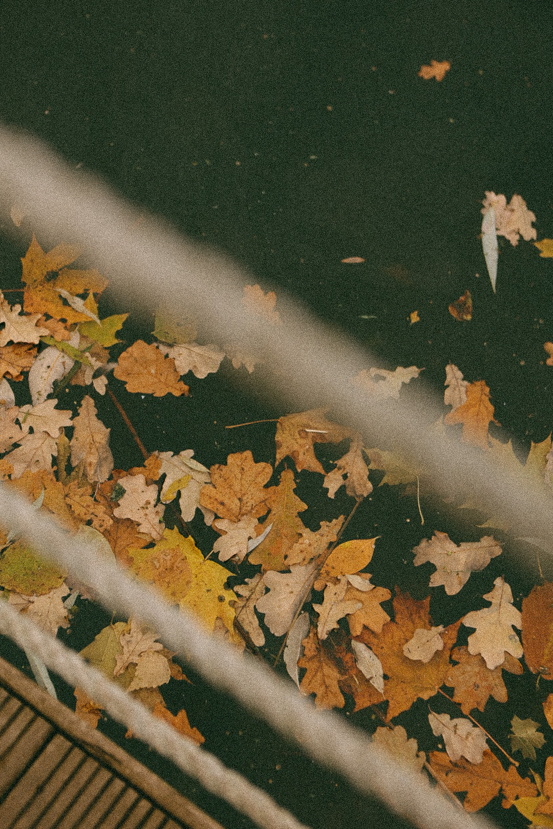 Rassvet. Фотограф Нижний Новгород