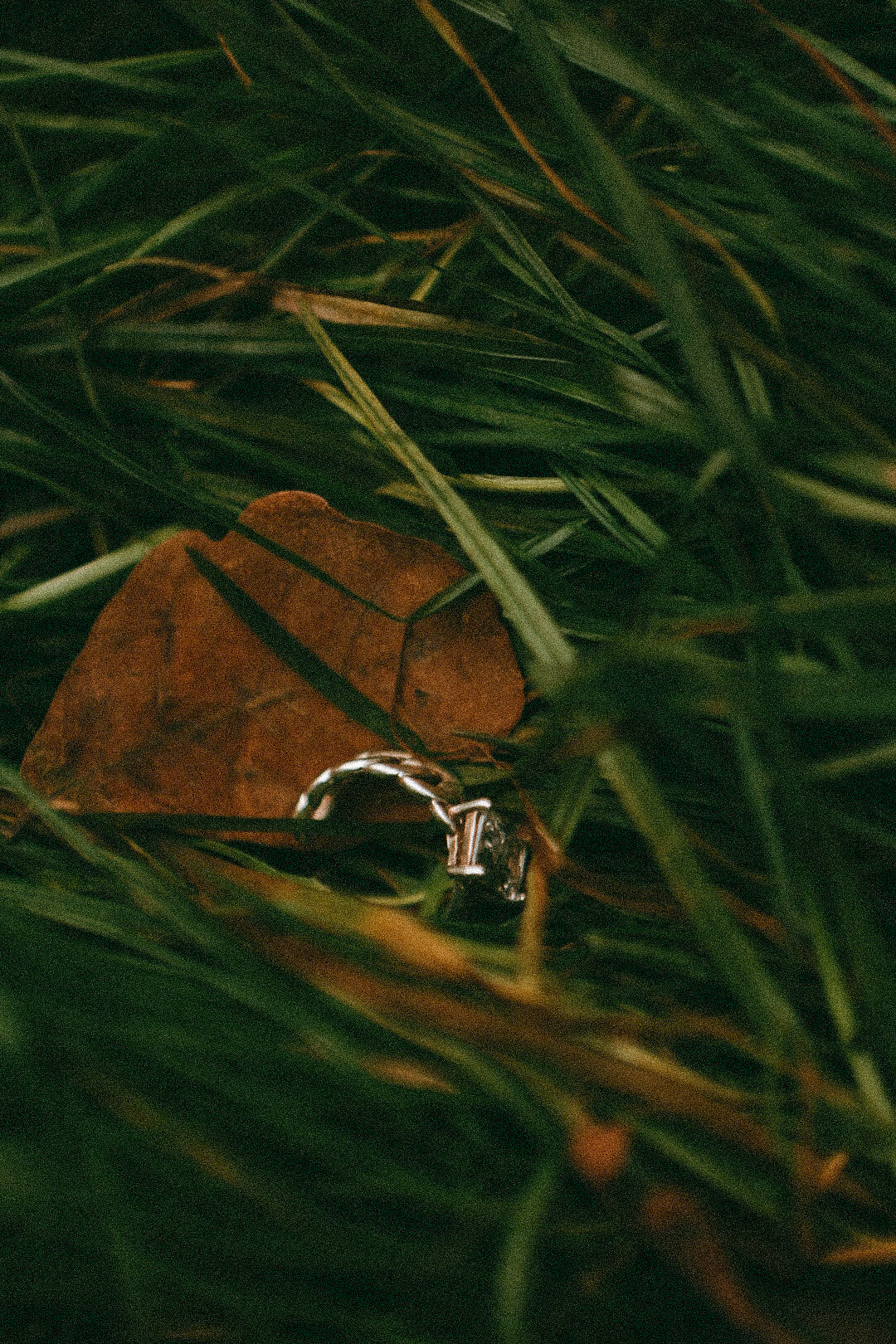 Rassvet. Фотограф Нижний Новгород