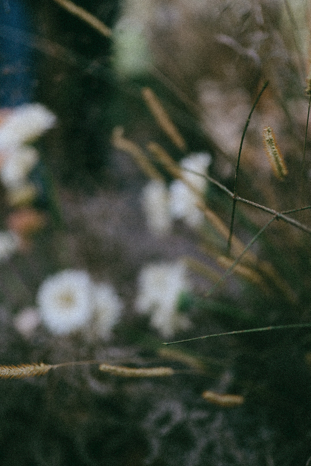 Воркшоп. Фотограф Нижний Новгород