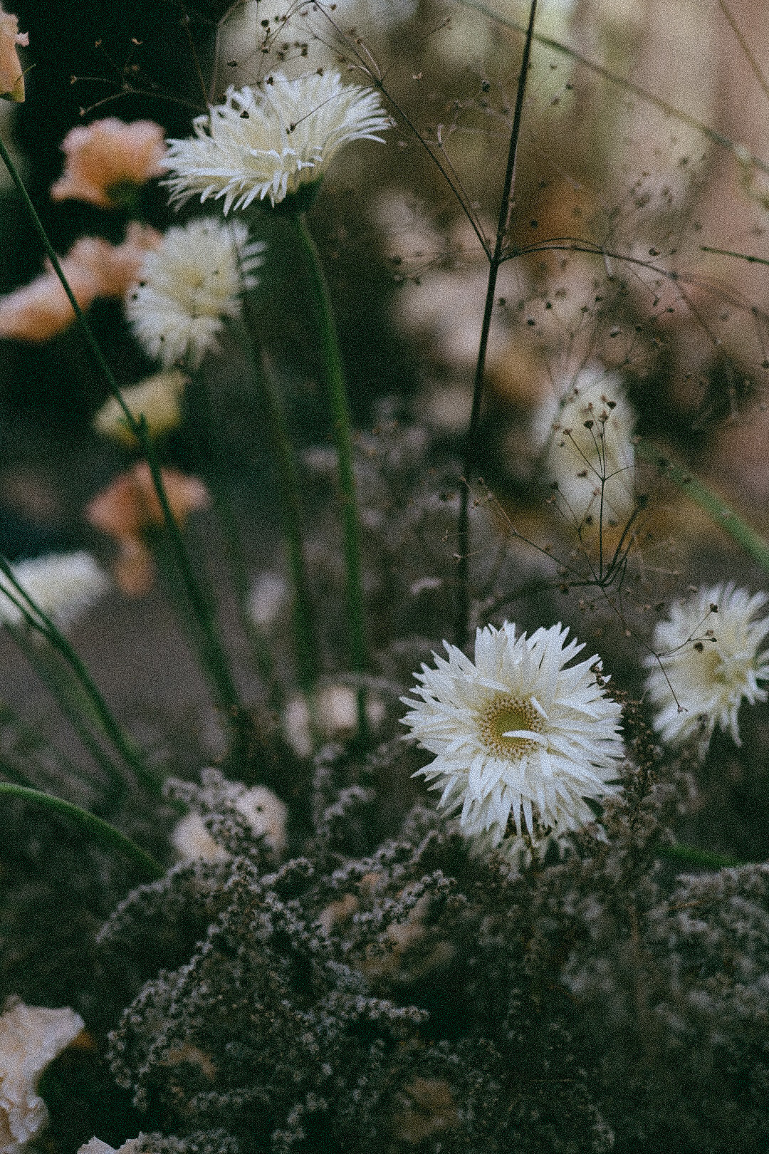 Воркшоп. Фотограф Нижний Новгород