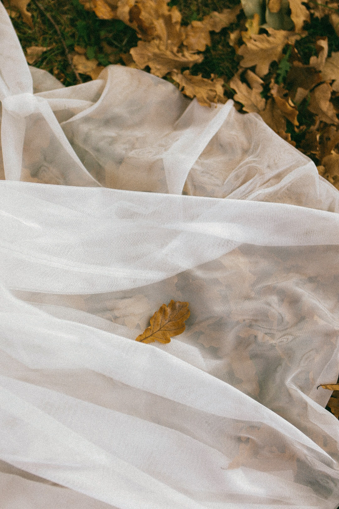 Владимир и Татьяна. Фотограф Нижний Новгород