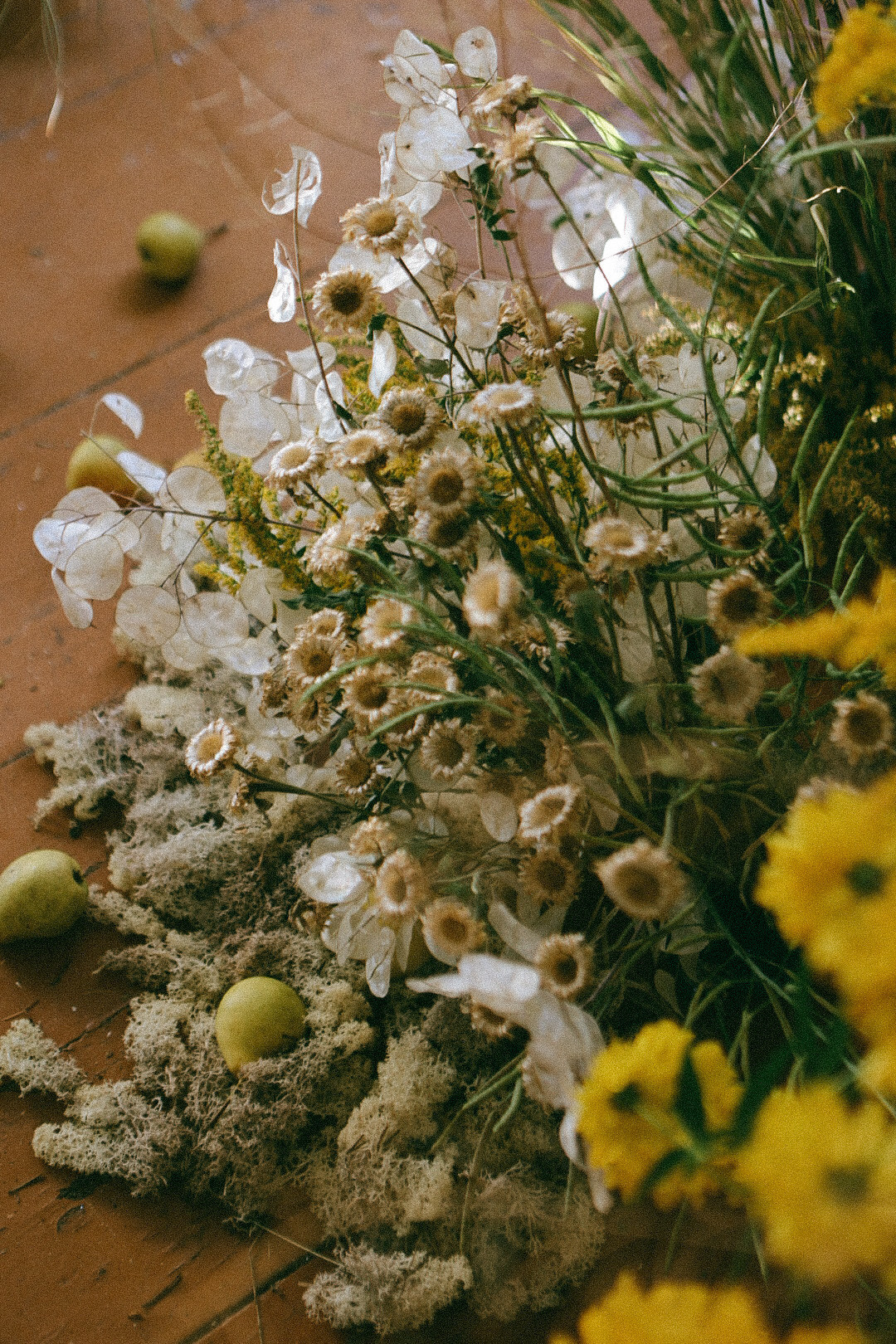 По ту сторону лета. Фотограф Нижний Новгород