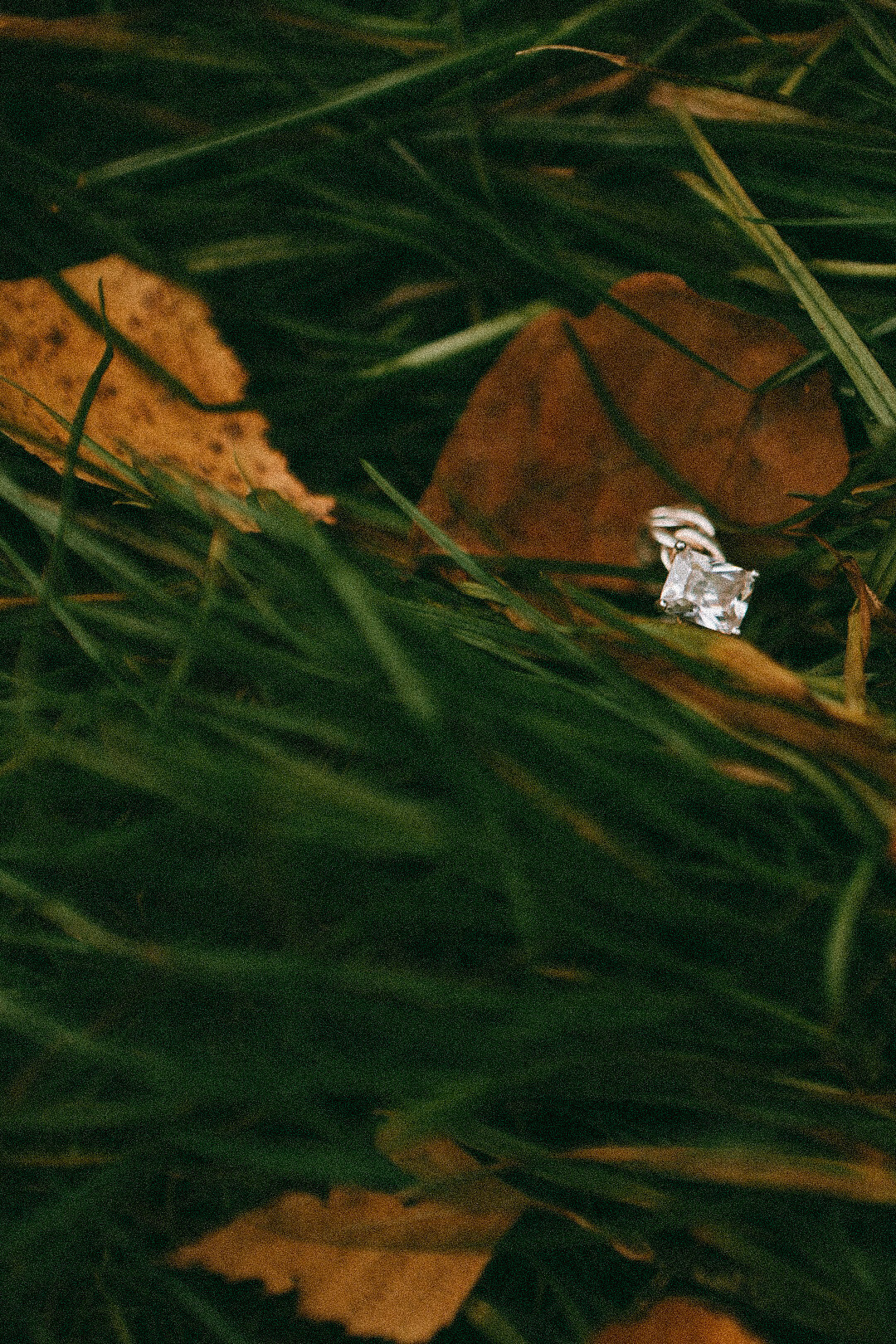 Rassvet. Фотограф Нижний Новгород