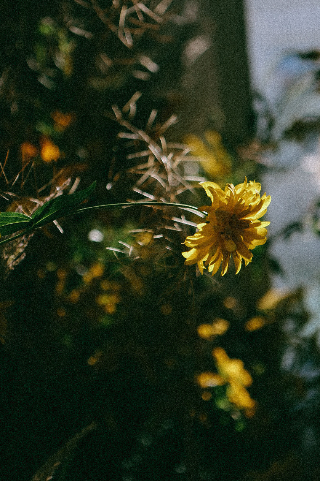 По ту сторону лета. Фотограф Нижний Новгород