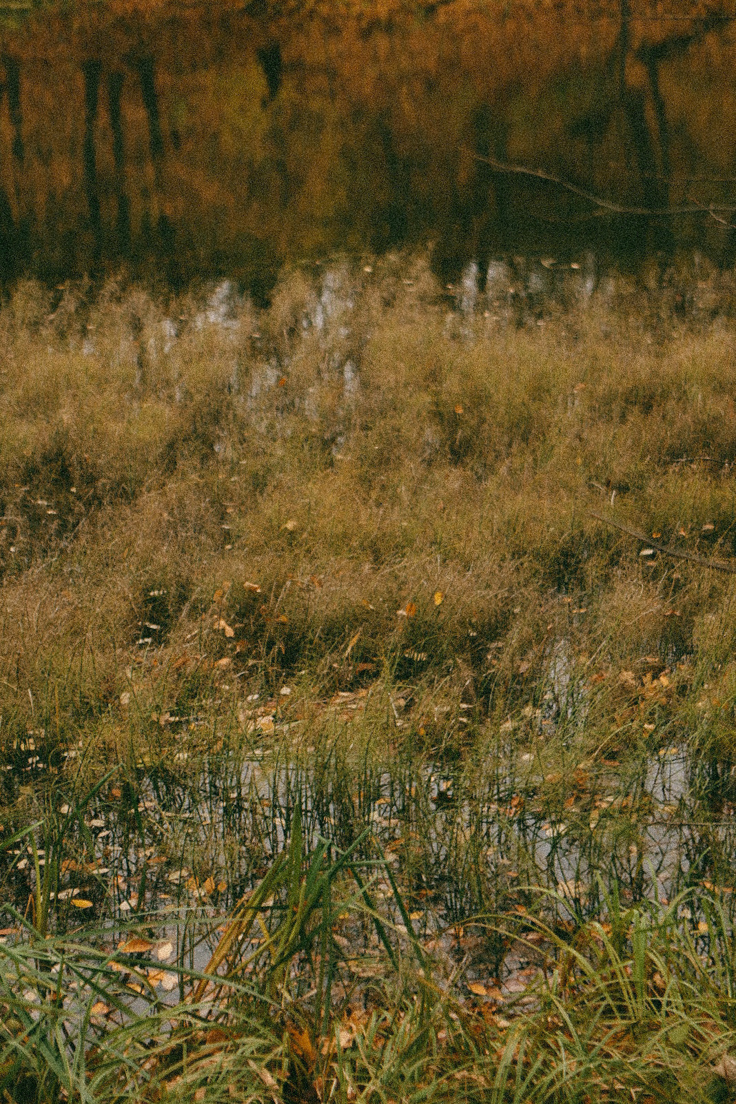 Rassvet. Фотограф Нижний Новгород