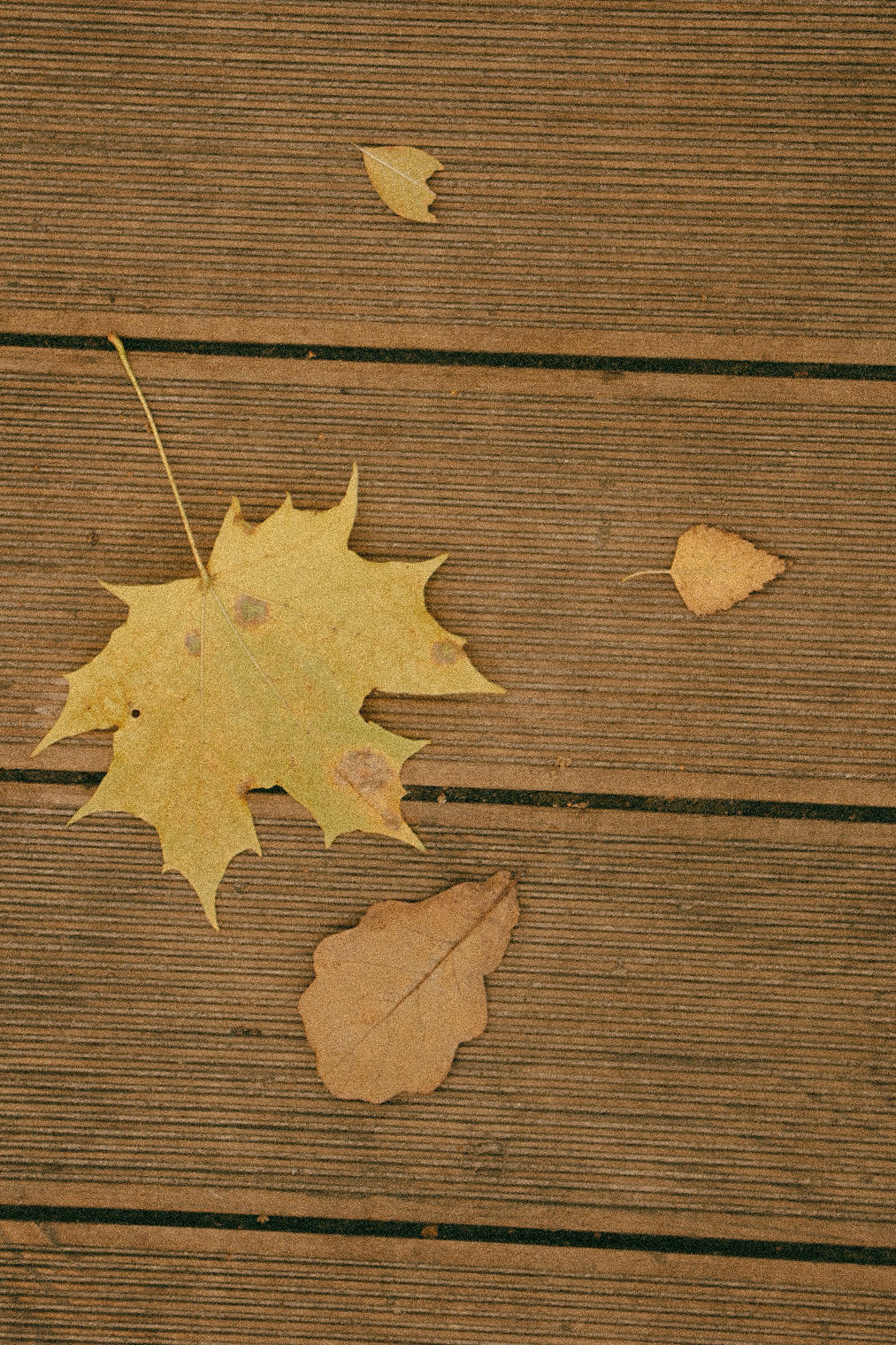 Rassvet. Фотограф Нижний Новгород