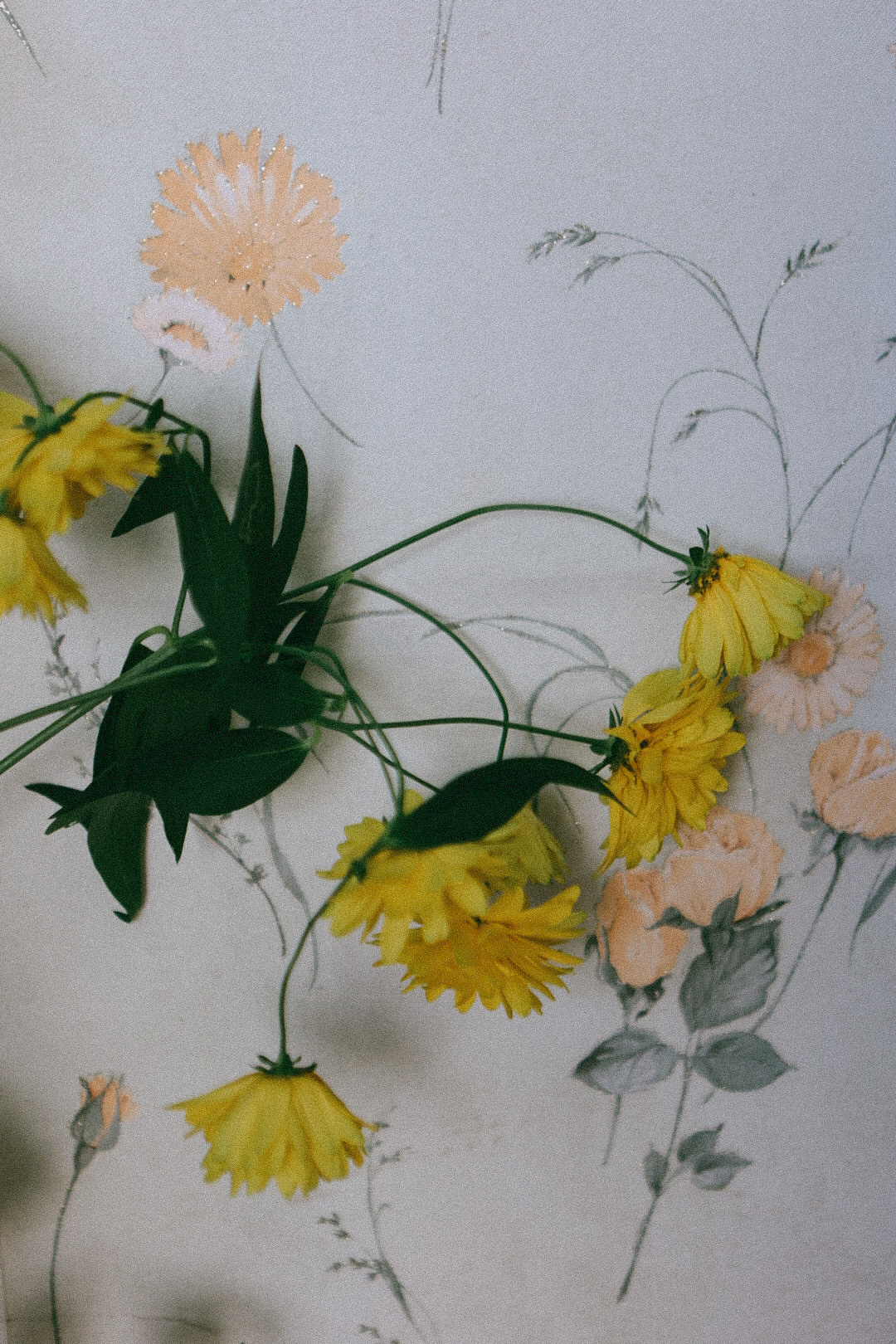 По ту сторону лета. Фотограф Нижний Новгород