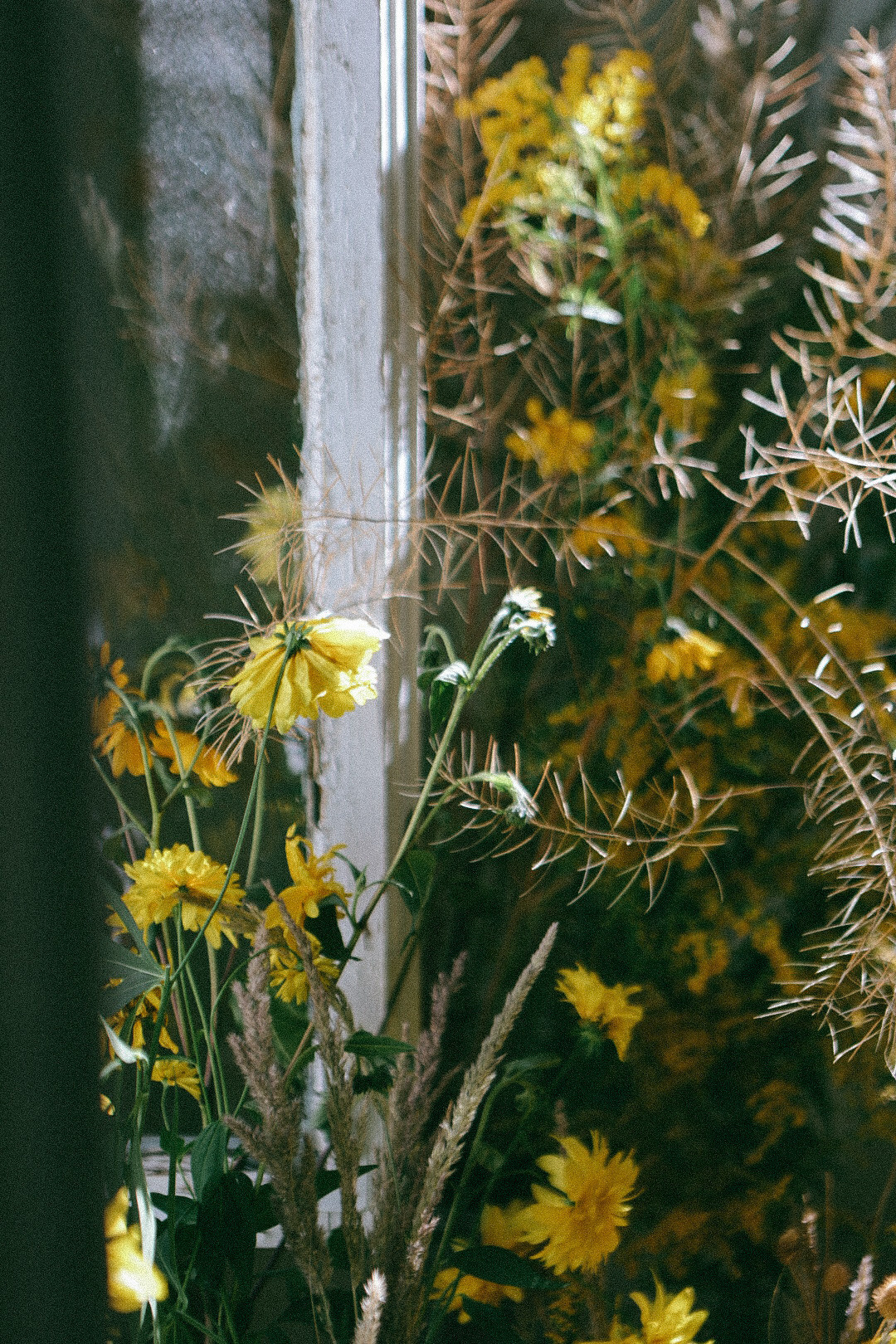 По ту сторону лета. Фотограф Нижний Новгород