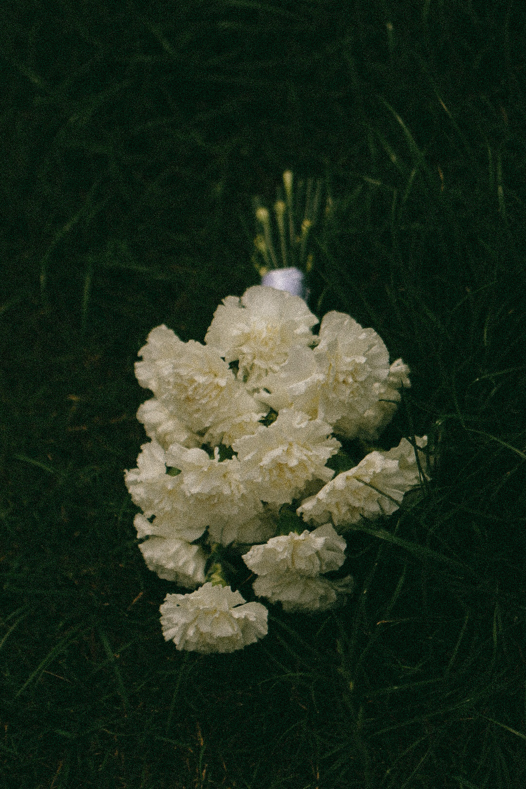 Илья и Лена. Фотограф Нижний Новгород