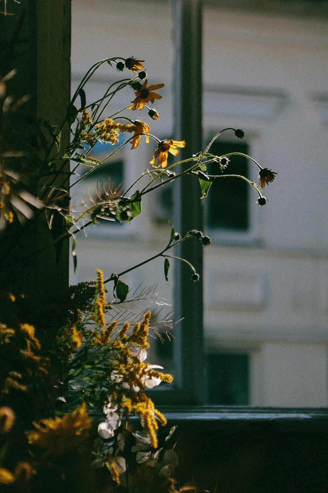 По ту сторону лета. Фотограф Нижний Новгород