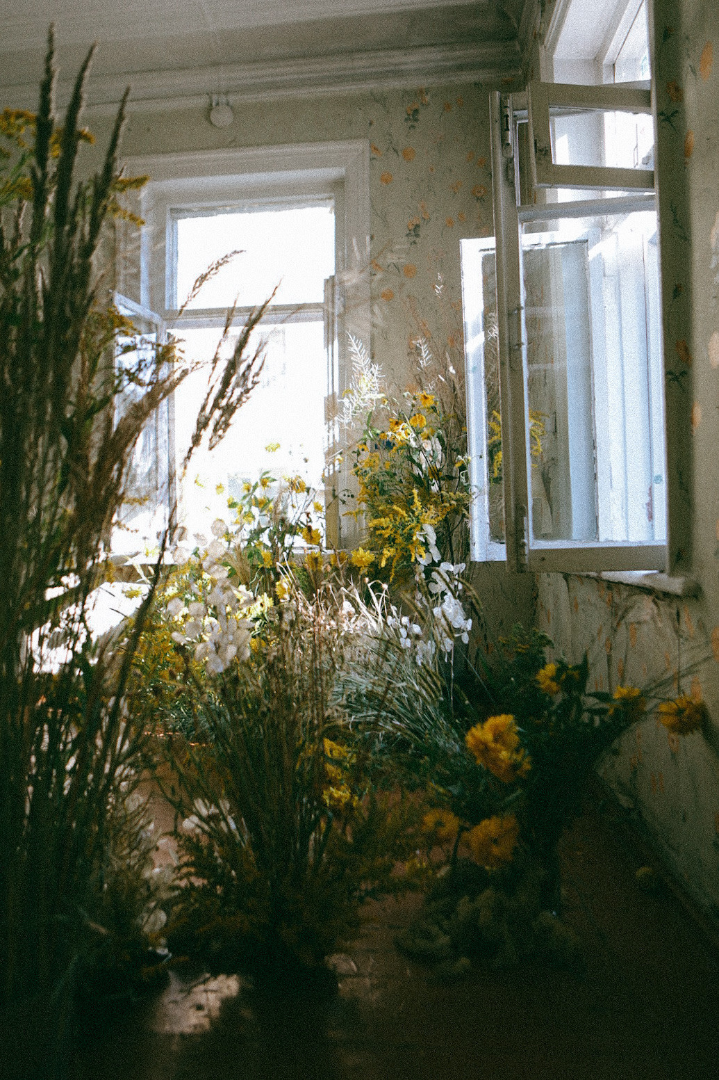 По ту сторону лета. Фотограф Нижний Новгород