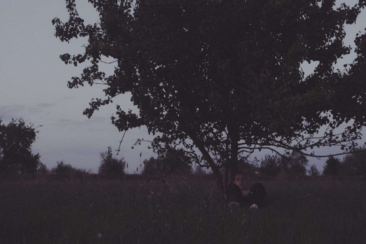 «деревом». Фотограф нижний новгород — мирон