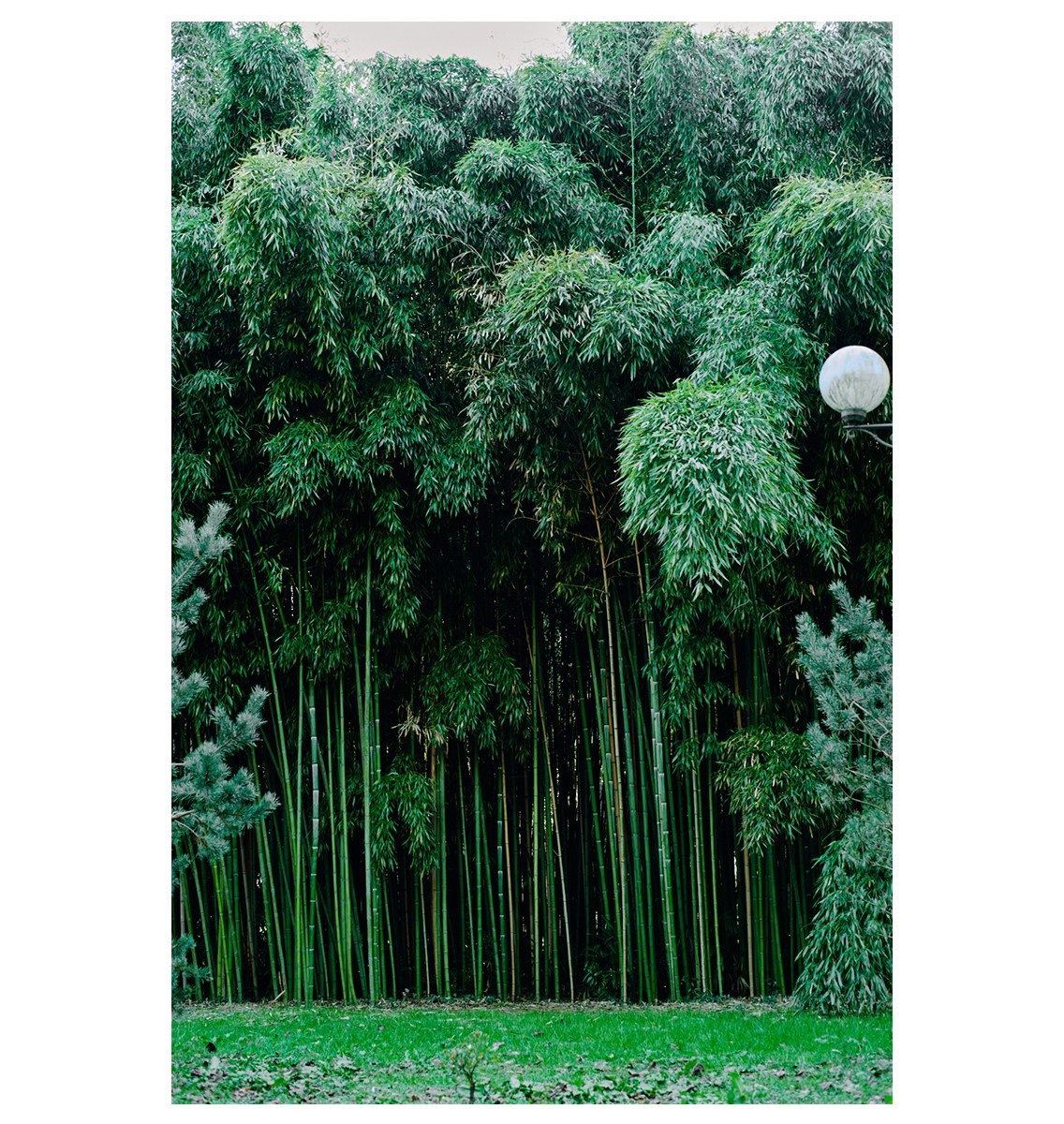 Роза Хутор 2025. Фотограф Аннё| Москва