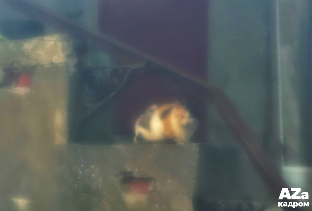 AZакадром Импрессинизм. Женский семейный фотограф Тула Москва Захарова Анна