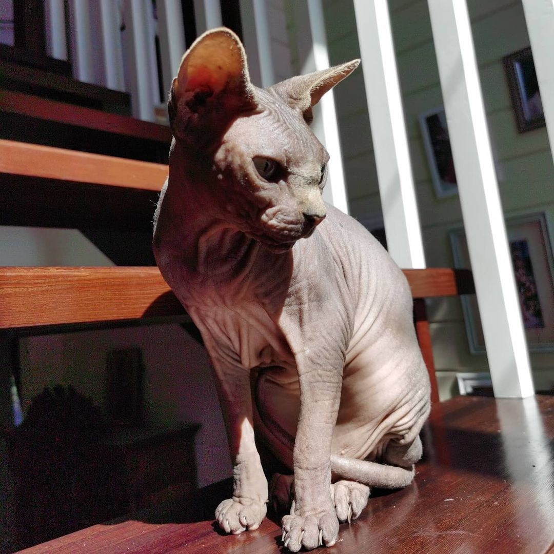 Anka`s Instagram. Заставка