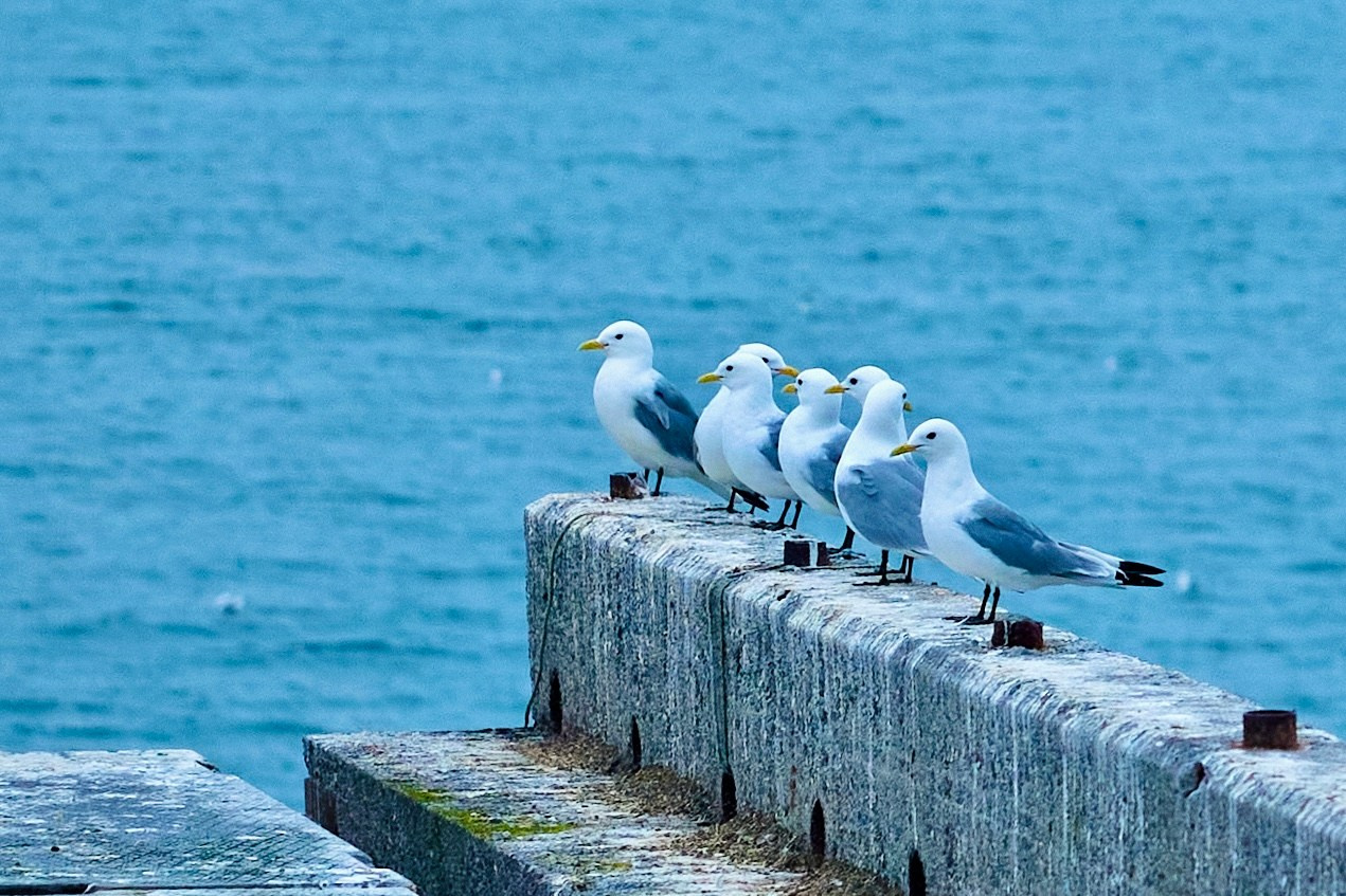 Пейзаж. Фотограф Люся Воробьева