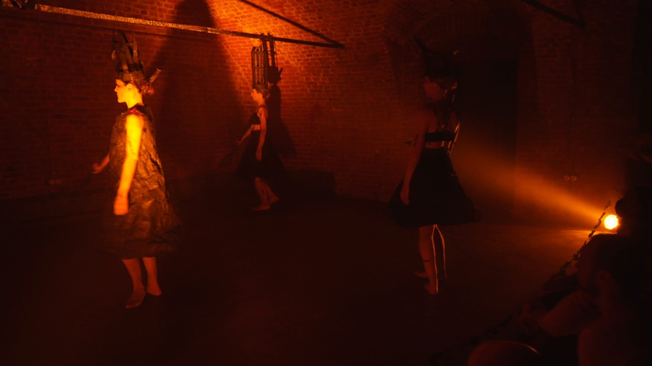 Красное дерево. Фото / Видеосъемка в Москве