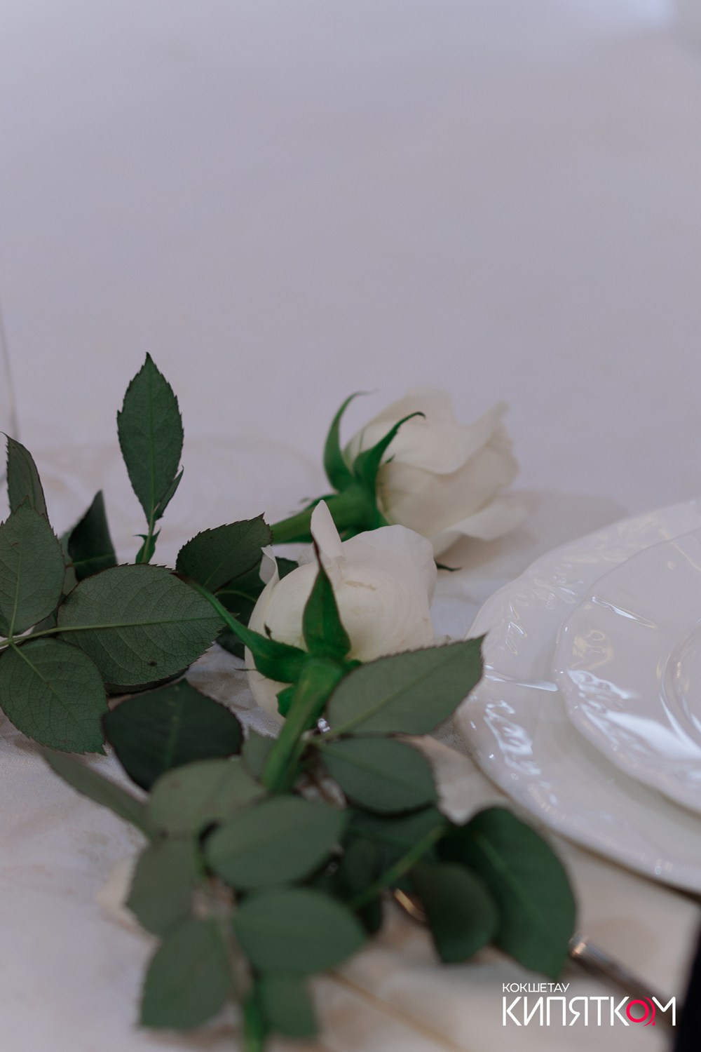 LA MELA. КИПЯТКОМ КОКШЕТАУ