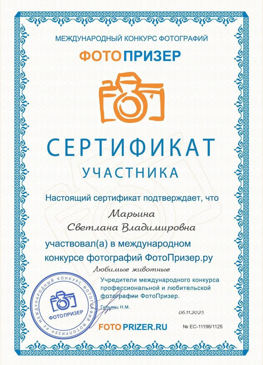 Мои дипломы и сертификаты. Семейный фотограф анималист г. Находка