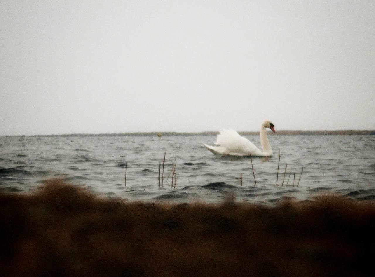 Фотоистория: затерянный берег. Фотограф YODLUCE