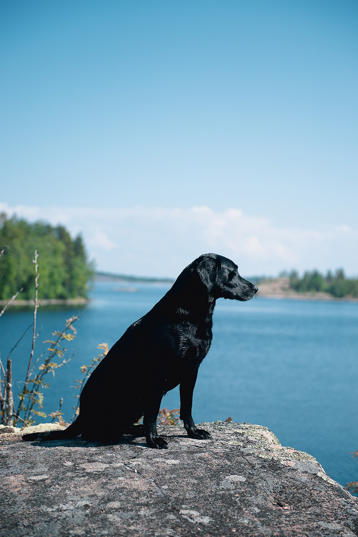 Карелия. Фотограф-анималист Наталья Светличная