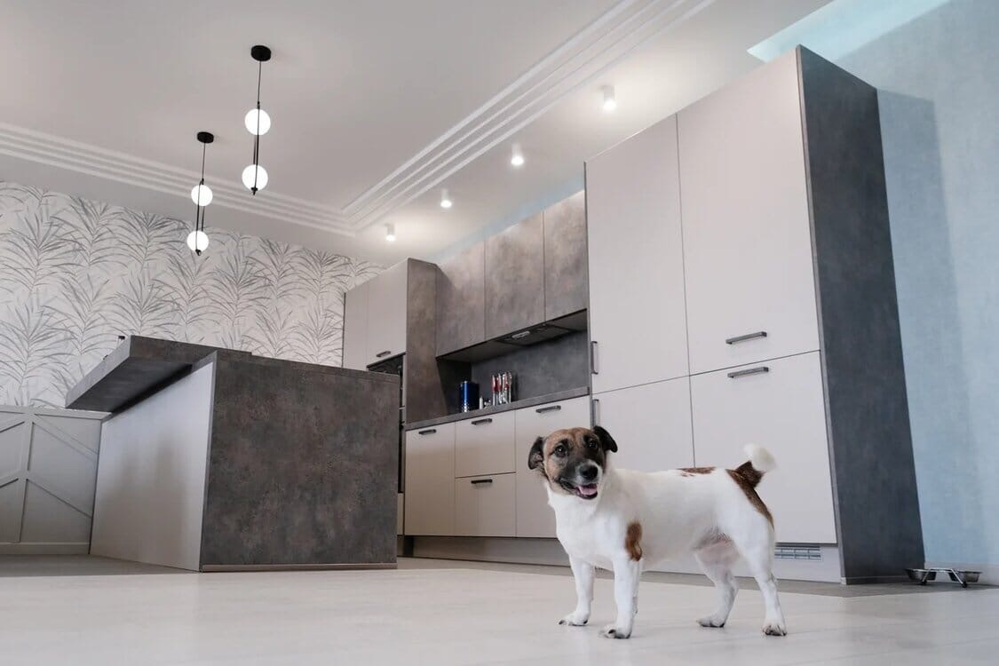 Интерьер. Профессиональный фотограф Барнаул Анастасия Фримал