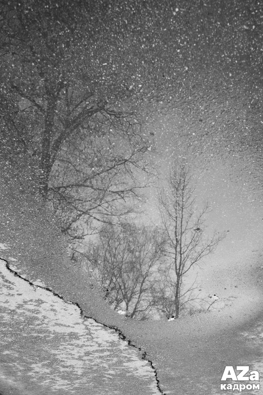 AZакадром «Отражения». Женский семейный фотограф Тула Москва Захарова Анна