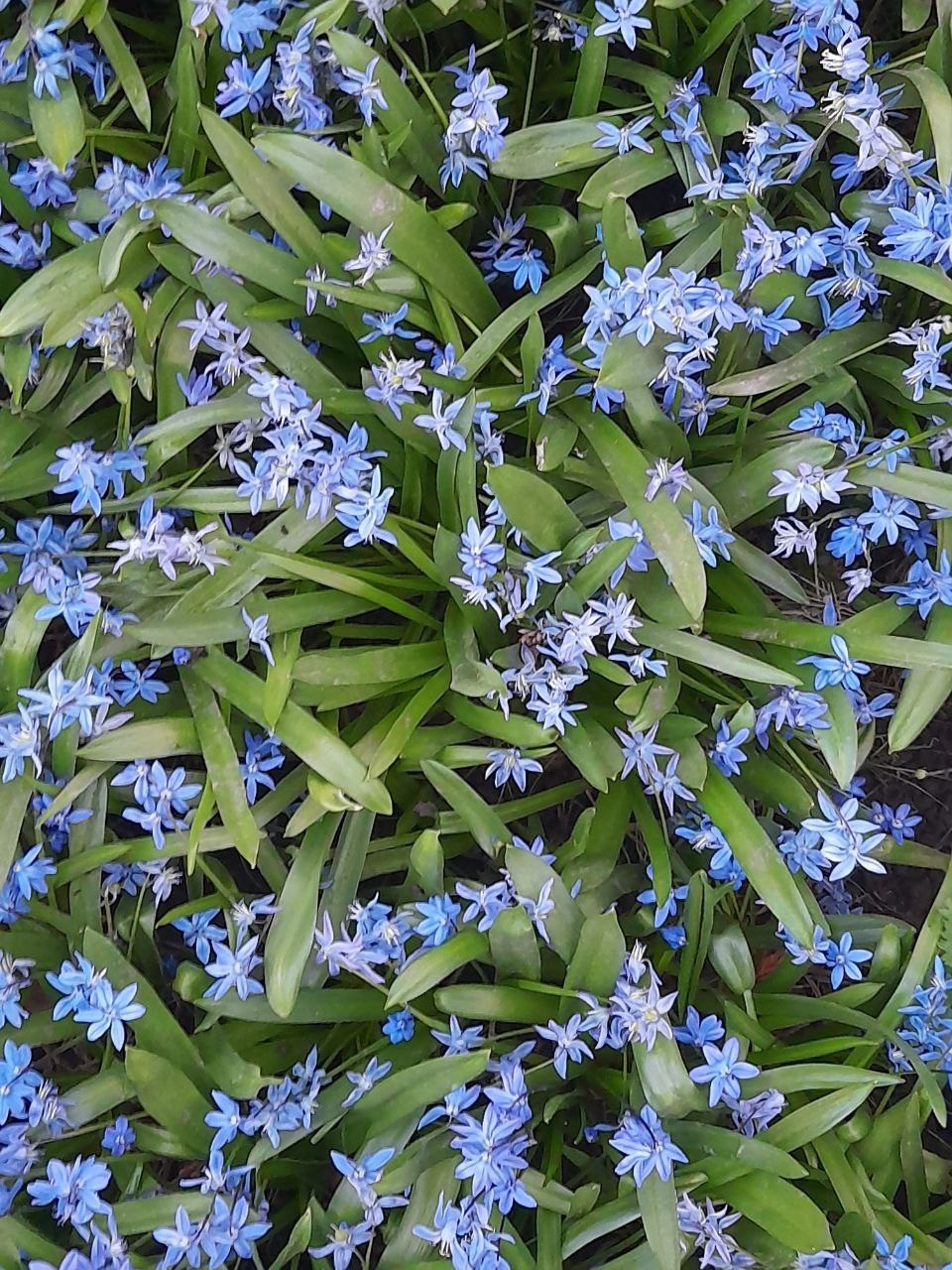 Пасха 2025. Собор Отрасли