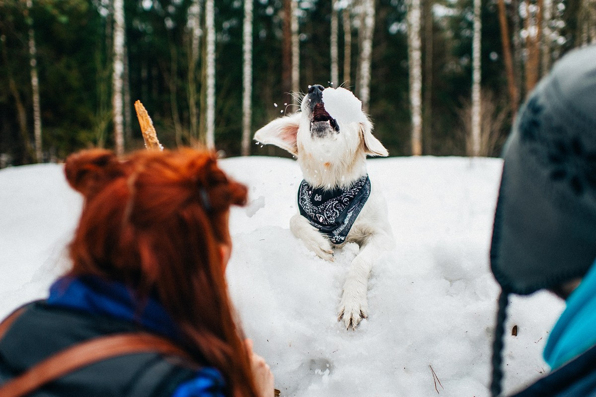 ШАНТИ и СЕМЬЯ. Свадебный и семейный фотограф РИТА БОЧКАРЁВА