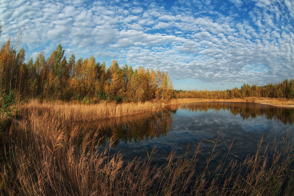 Отличие зрения человека от камеры. Фотоцентр Перспектива: выпускные альбомы, фотошкола, курсы фотографии
