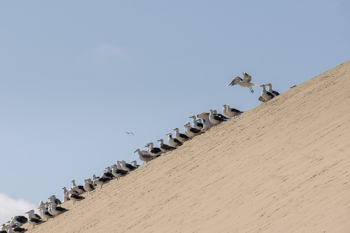 Природа. Фотограф Татьяна Рутковская Калининград