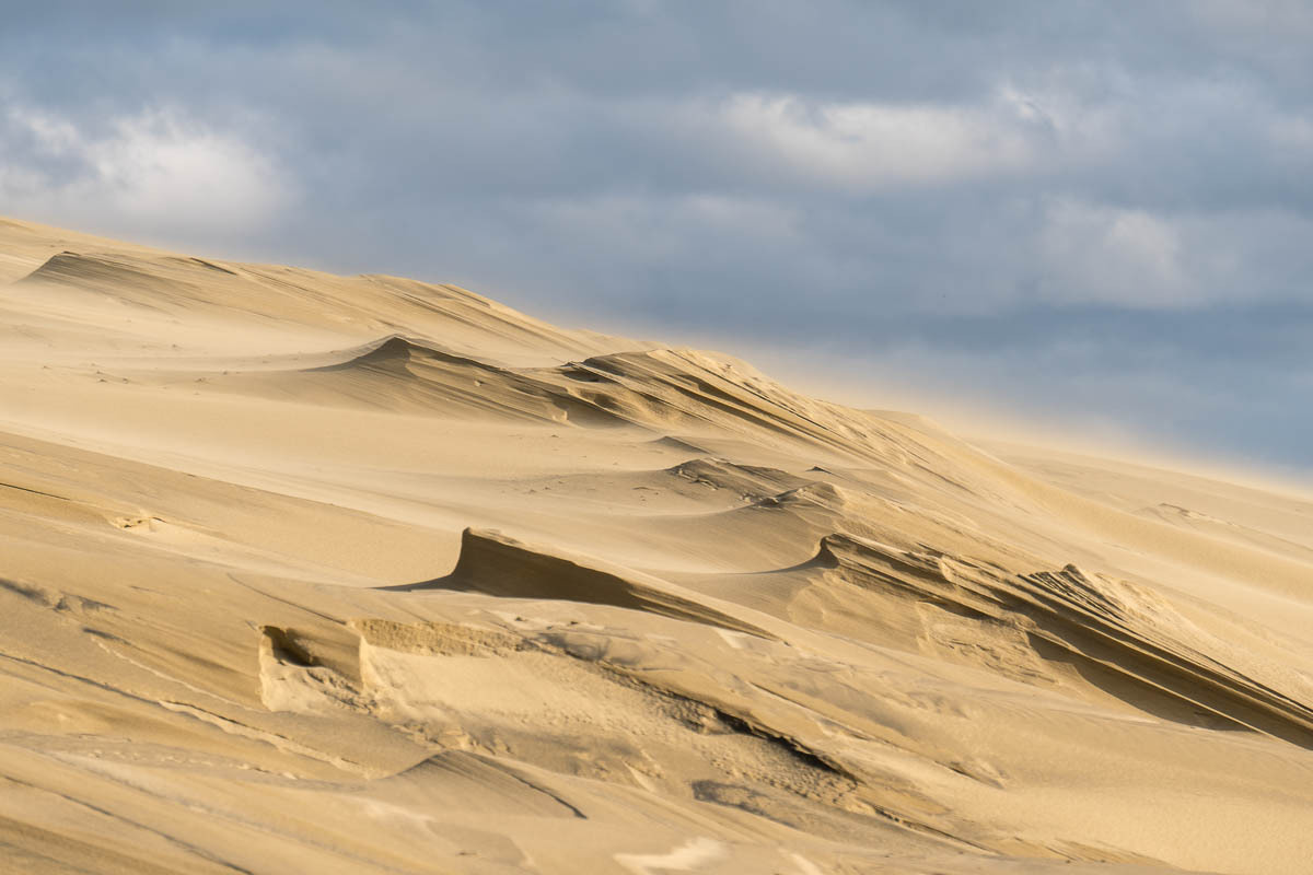 Природа. Фотограф Татьяна Рутковская Калининград