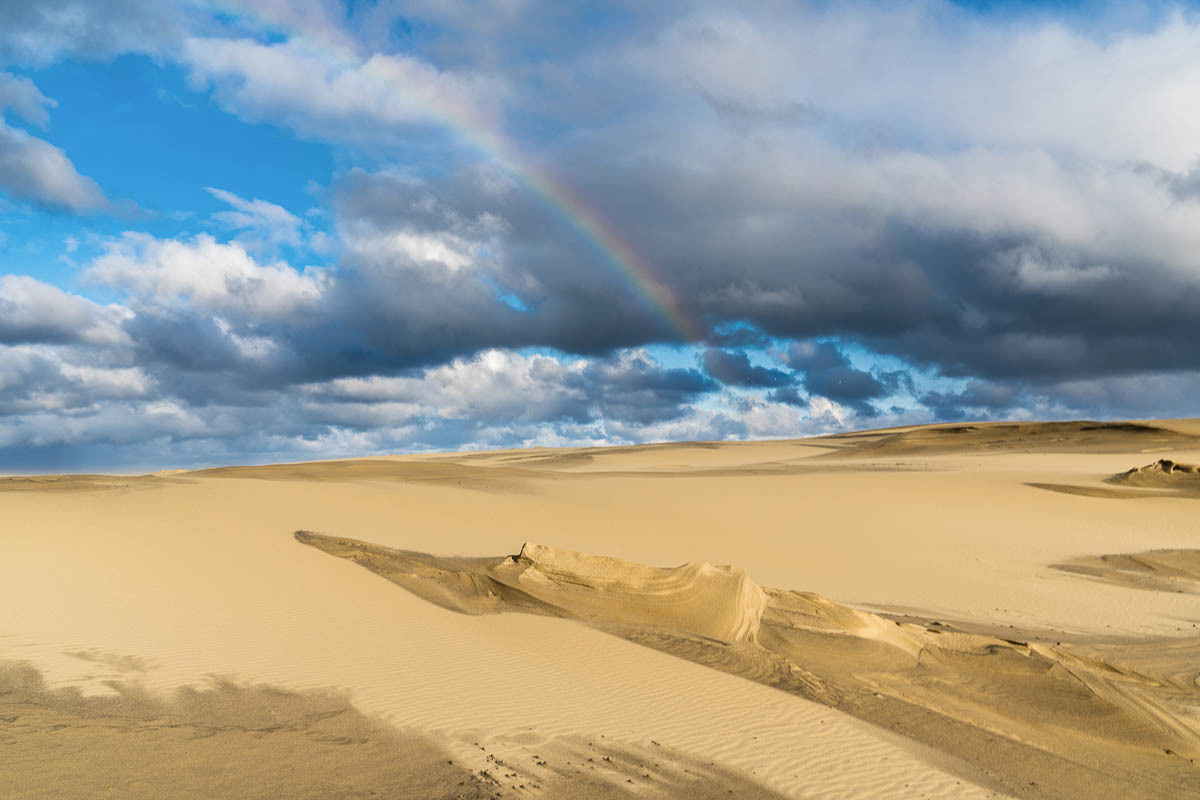 Природа. Фотограф Татьяна Рутковская Калининград