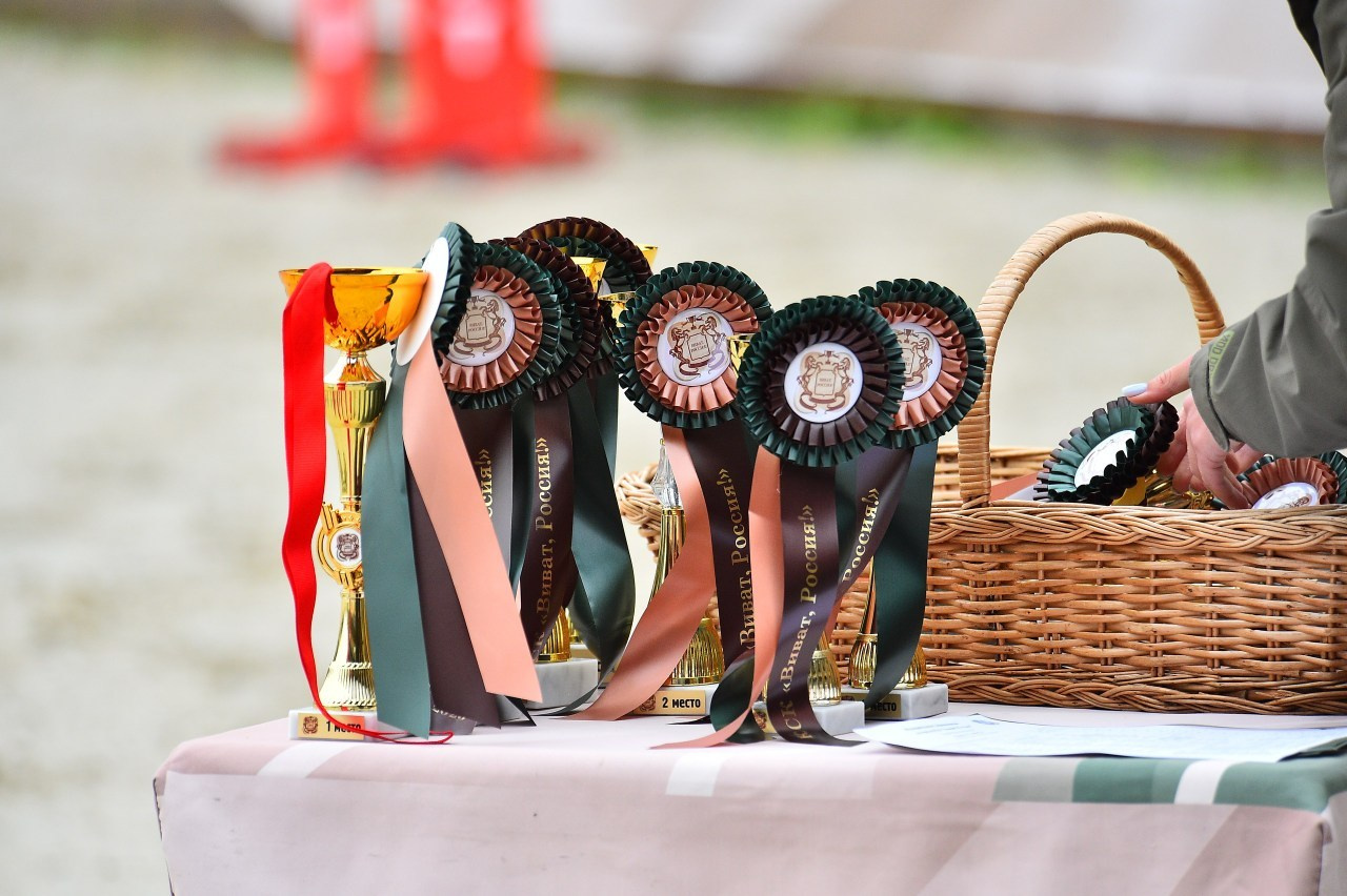 Отзывы. ТУРНИРНАЯ КОННАЯ ФОТОГРАФИЯ, Руднева Ольга и Евгений Адеев