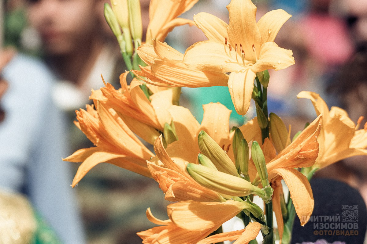 Крестный ход на Троицу