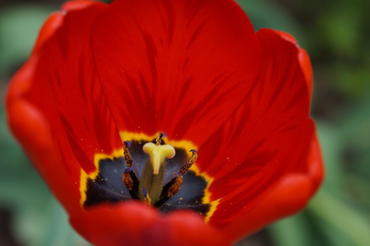 Портфолио. Фотограф в Москве Александра