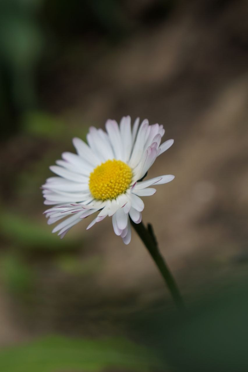 Портфолио. Фотограф в Москве Александра