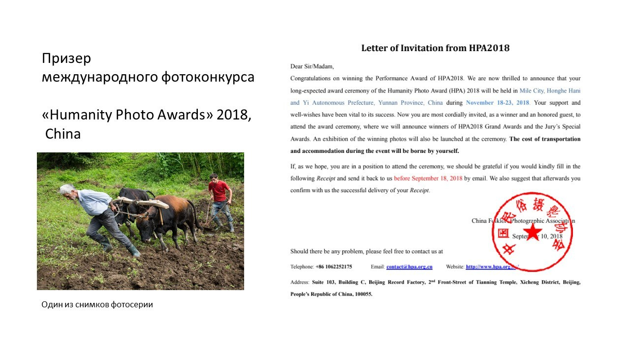 Подробнее об авторе. Татьяна Корчагина. Фотограф, художник. Обучение фотографии