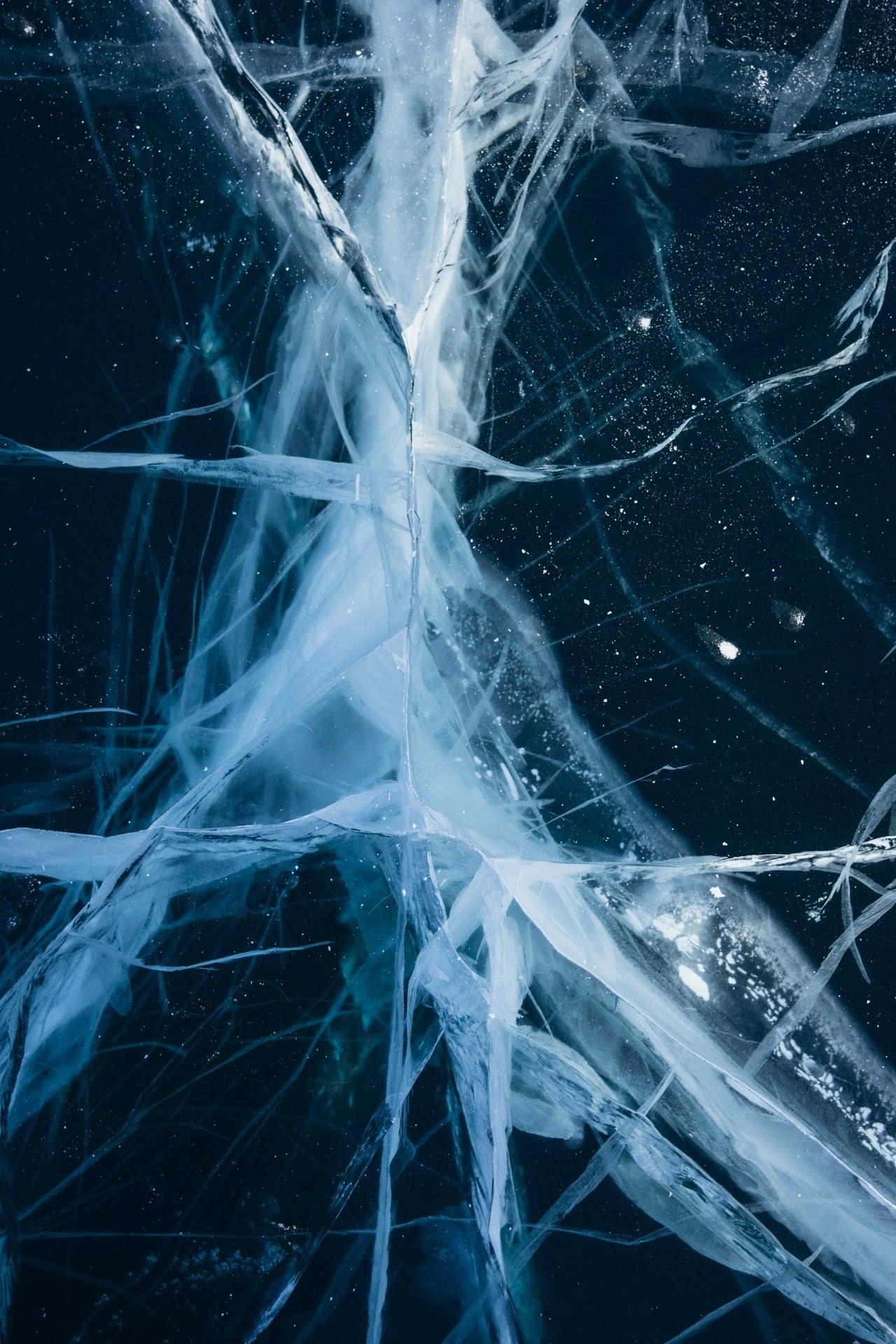 Антонина Пехова | Отзывы